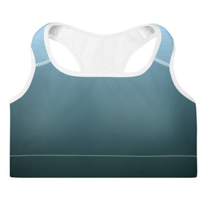 Lexi Turquoise Ombre Sports Bra